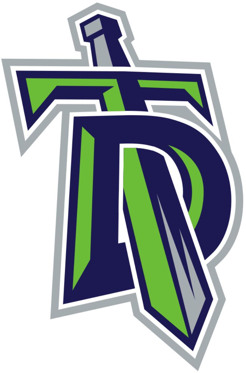 Danbury Titans 2015-Pres Primary Logo iron on heat transfer